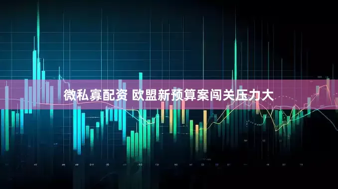 微私寡配资 欧盟新预算案闯关压力大
