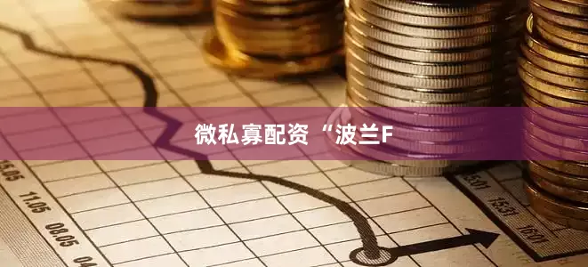 微私寡配资 “波兰F